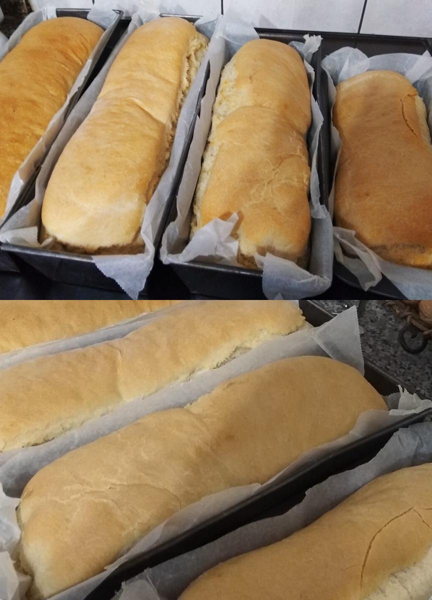 ζυμωτό-ψωμί-για-κατάψυξη-συνταγή- ζυμωτό-ψωμί-για-κατάψυξη-συνταγή-