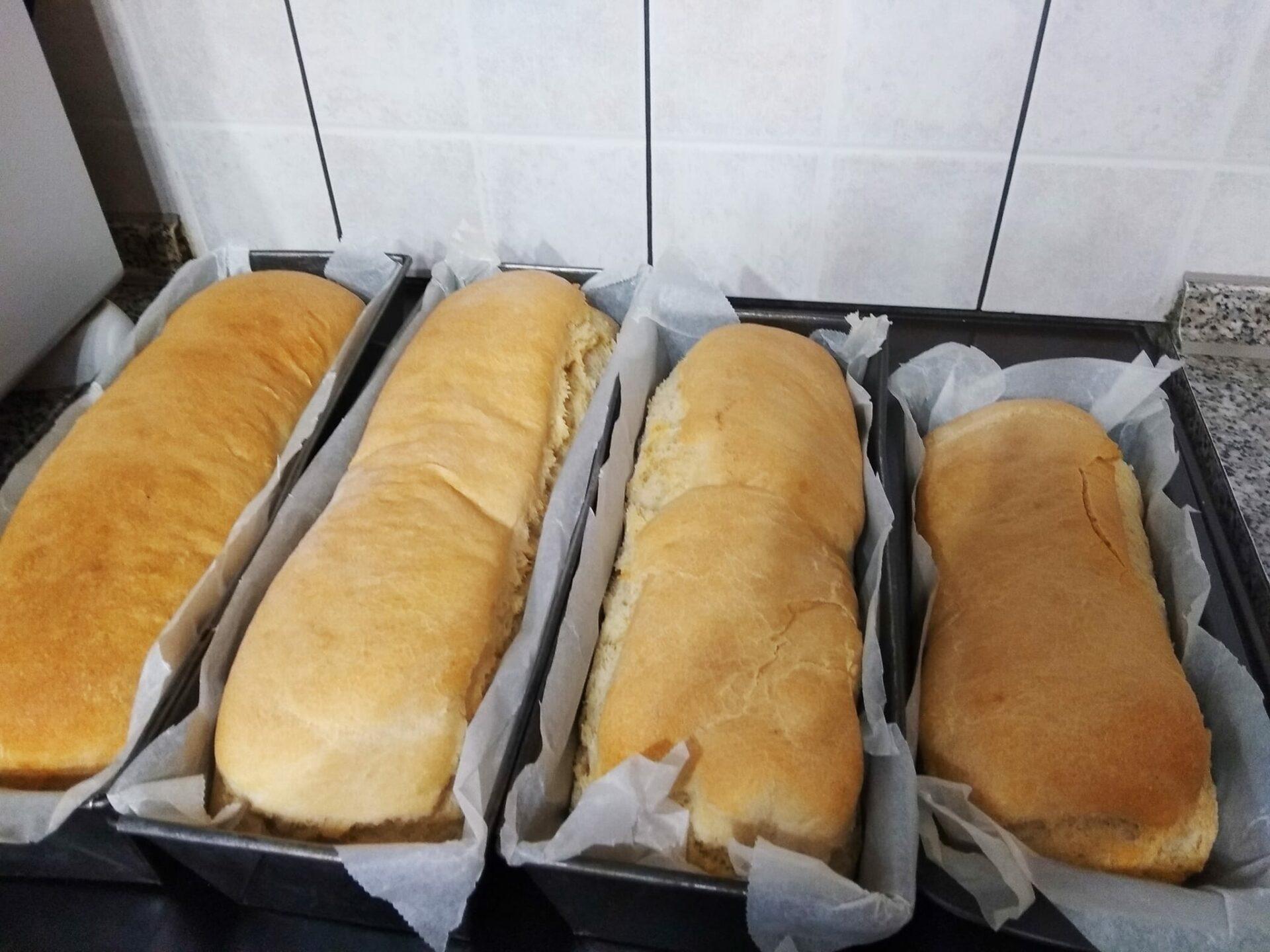 ζυμωτό-ψωμί-για-κατάψυξη-συνταγή- ζυμωτό-ψωμί-για-κατάψυξη-συνταγή-