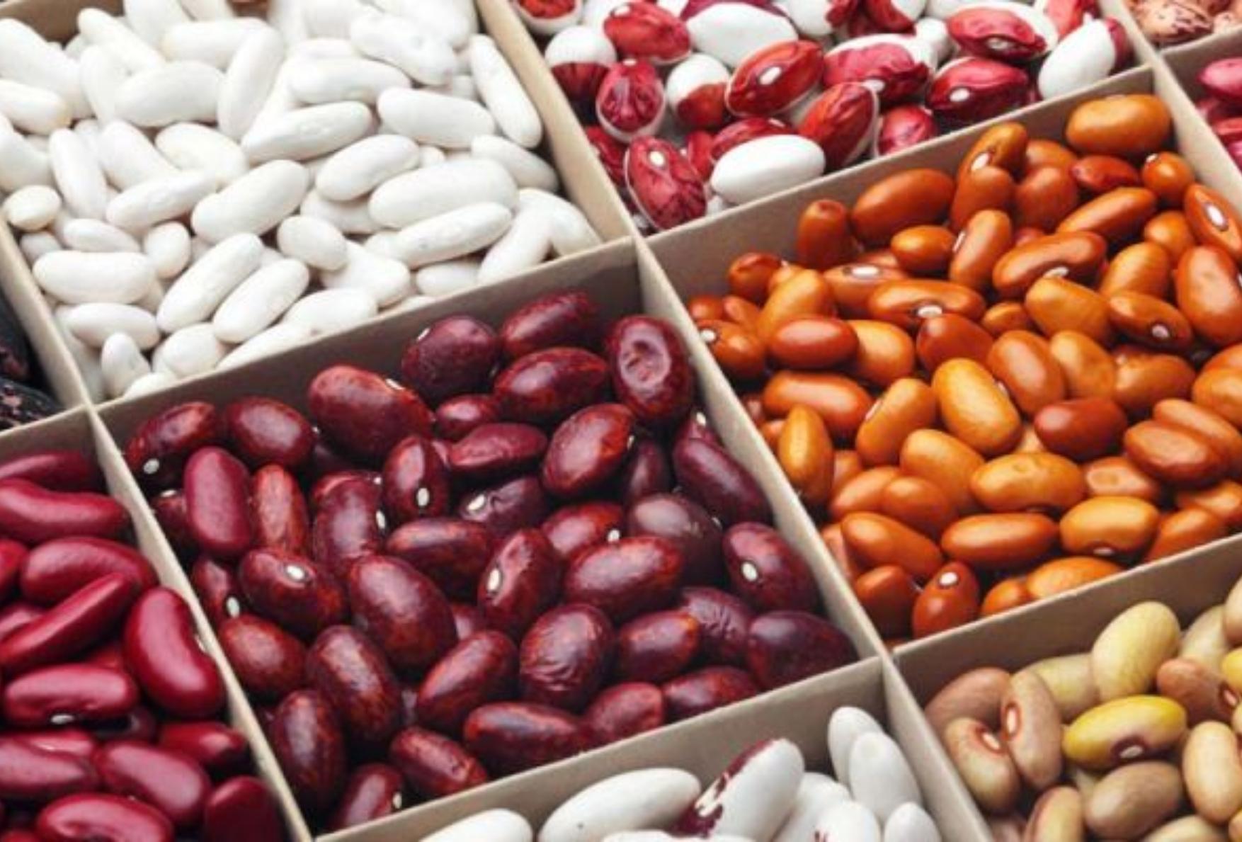 Φασόλια: Η διατροφική αξία τους και πως βοηθάν τον οργανισμό