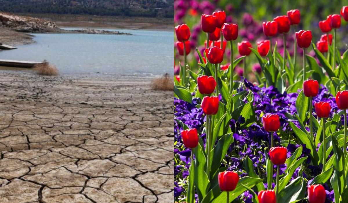 Πολύ νωρίς φέτος η Άνοιξή :  Οι επιπτώσεις του σύντομου χειμώνα