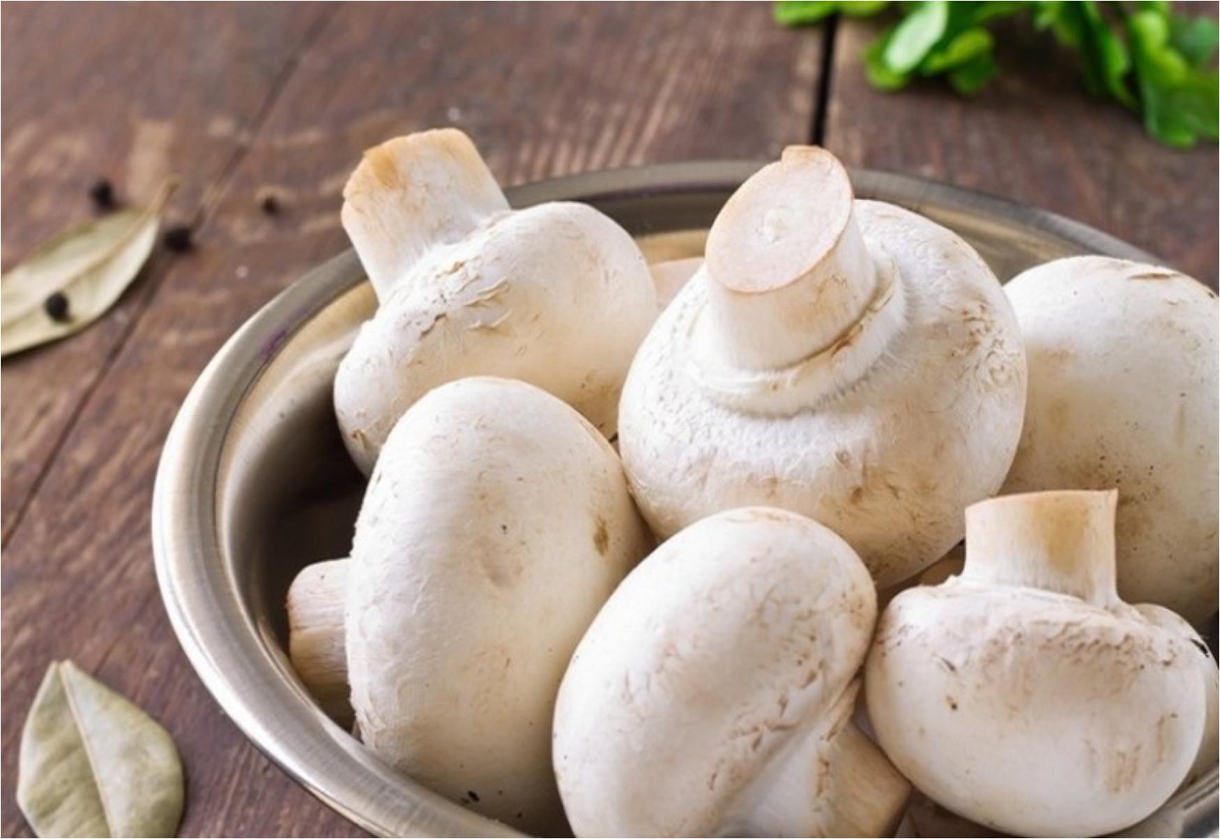 Μανιτάρια: Η διατροφική αξία τους και πως βοηθάν τον οργανισμό