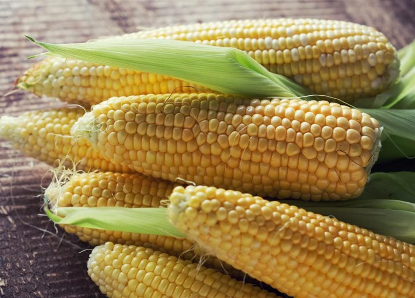 Καλαμπόκι: Η διατροφική αξία του και πως βοηθάει τον οργανισμό