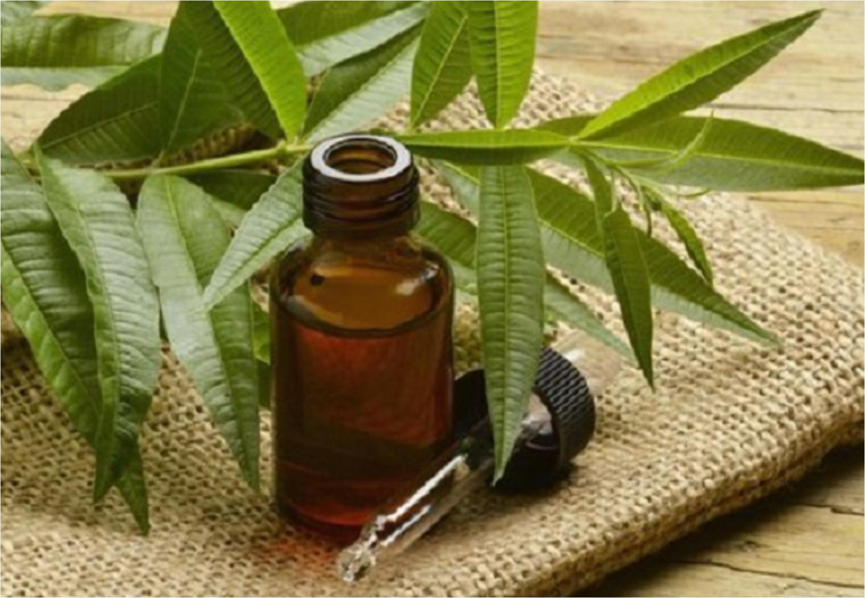 Ψείρες: Πώς να τις κρατήσετε μακριά από το κεφάλι των παιδιών σας