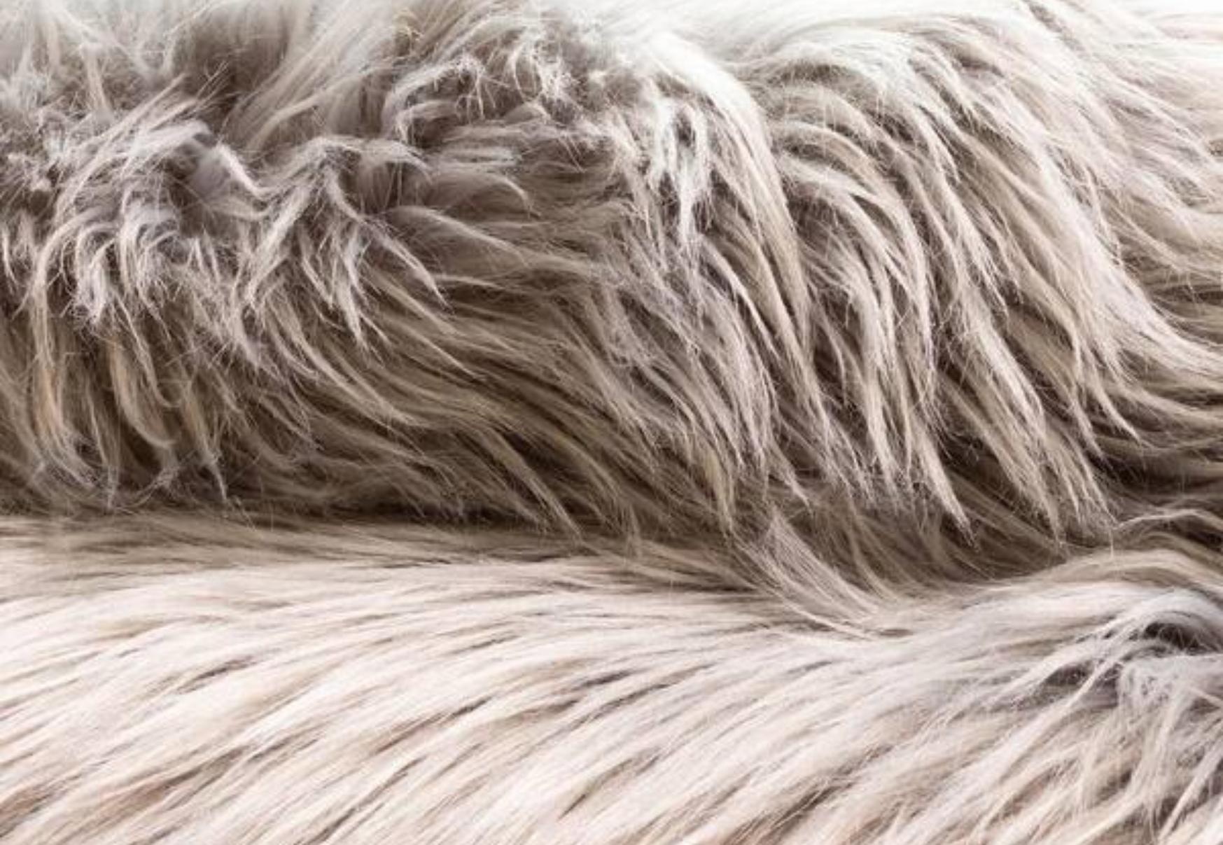 Σκόνη μούχλα και ψόφια έντομα στις φλοκάτες: Πως να τις καθαρίσετε και να τις πλύνετε μόνοι σας  