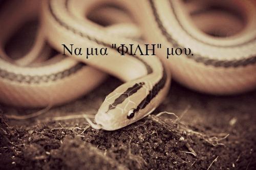 η-κολλητή-της-γυναίκας-μου-δημιουργεί-προβλήματα-στο-γάμο-μας-