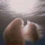 Μέδουσες-γίγαντες από την Ερυθρά Θάλασσα σε παραλίες της Ρόδου: Τι λέει ειδικός