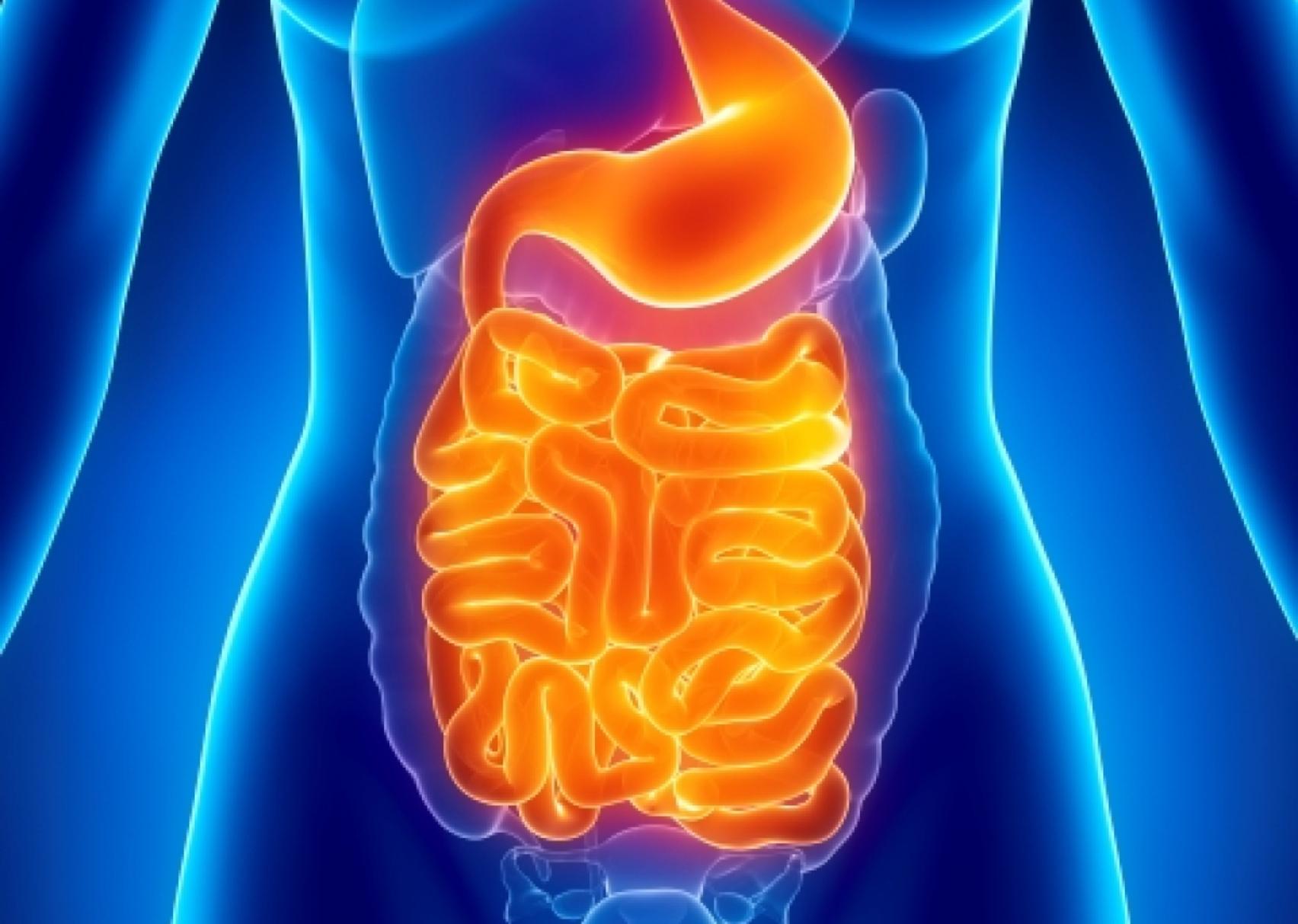 Σύνδρομο ευερέθιστου εντέρου: Τι είναι ποια τα συμπτώματα και πως αντιμετωπίζεται