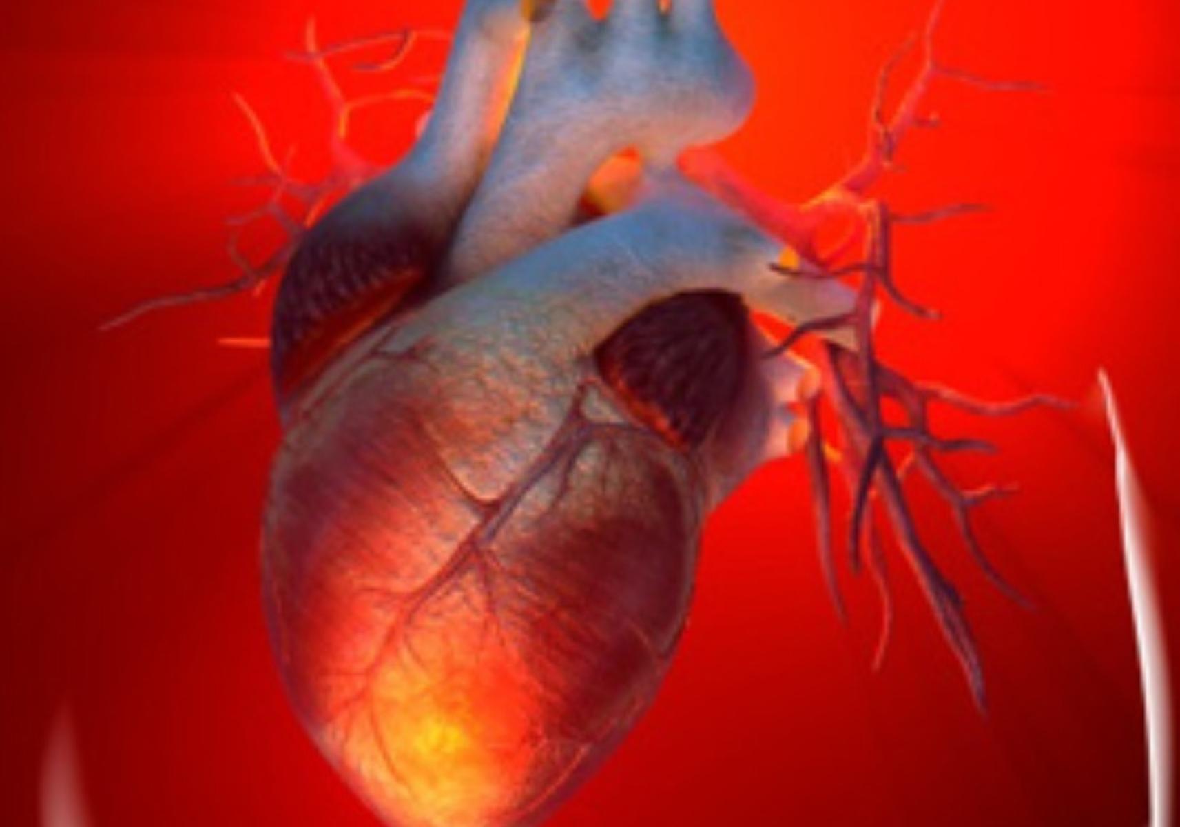 Κολπική μαρμαρυγή: Τι είναι ποια τα συμπτώματα και πως αντιμετωπίζεται