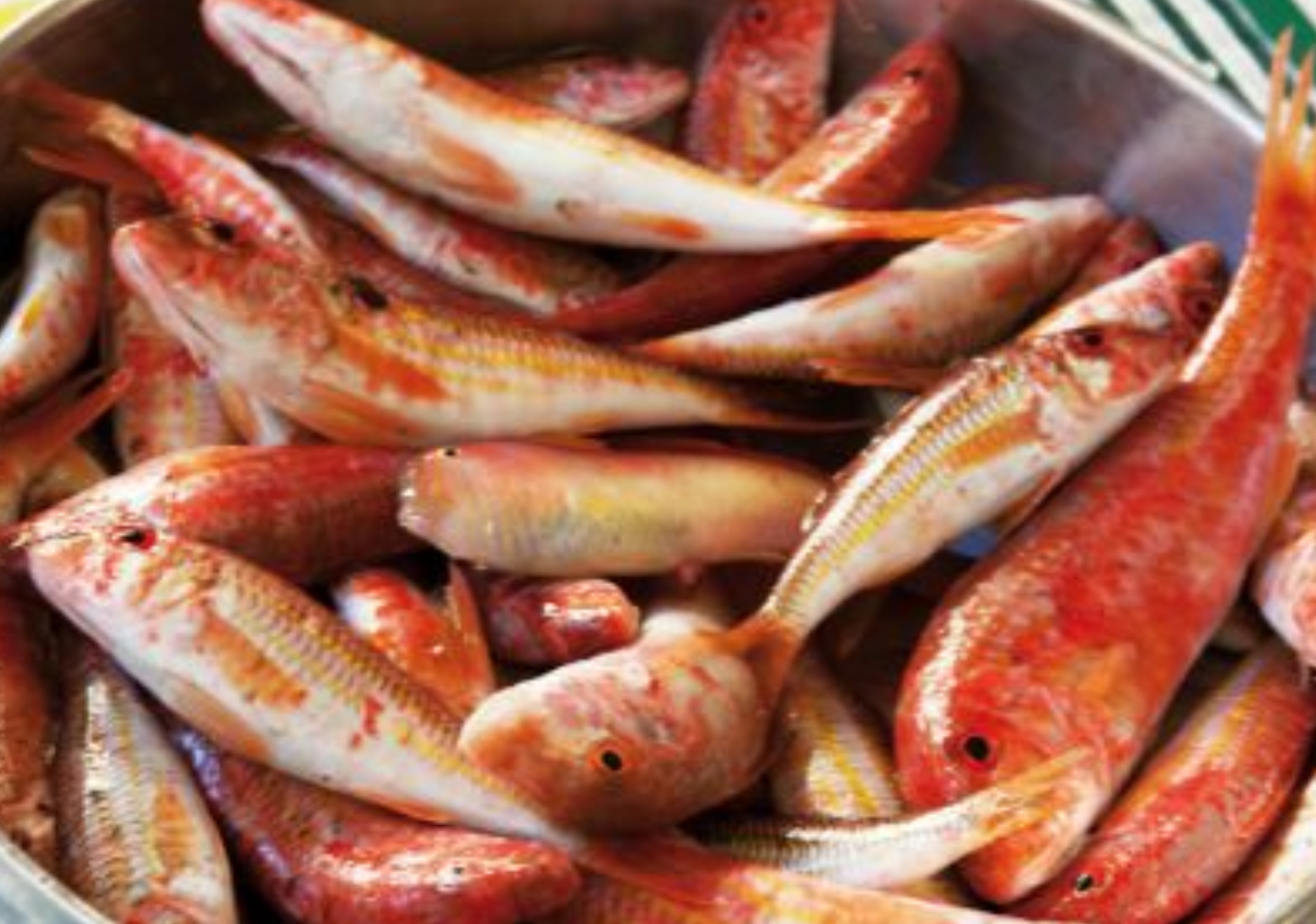 Ψάρια: Η διατροφική αξία τους και πως βοηθάν τον οργανισμό