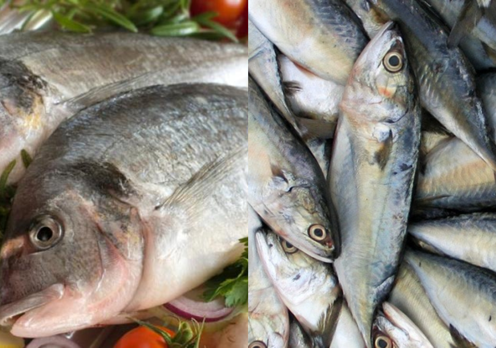 Ψάρια: Η διατροφική αξία τους και πως βοηθάν τον οργανισμό