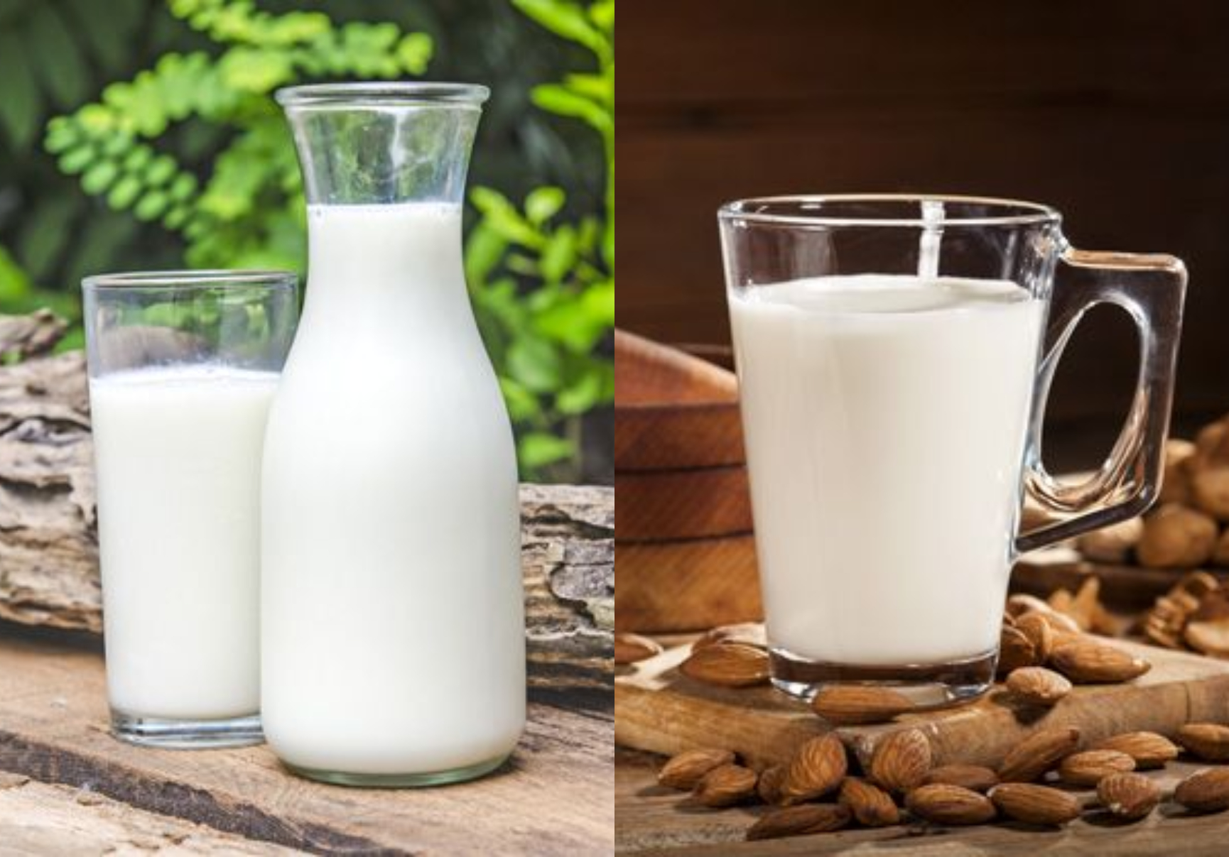 Γάλα: Η διατροφική αξία του και πως βοηθάει τον οργανισμό