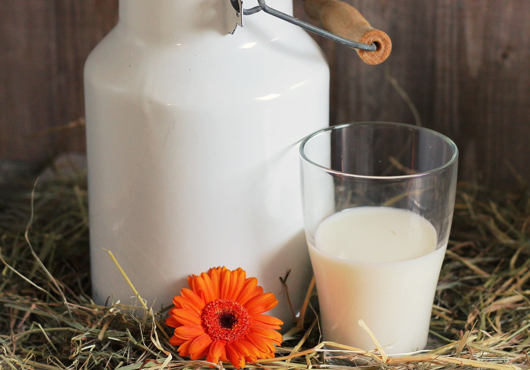 Γάλα: Η διατροφική αξία του και πως βοηθάει τον οργανισμό