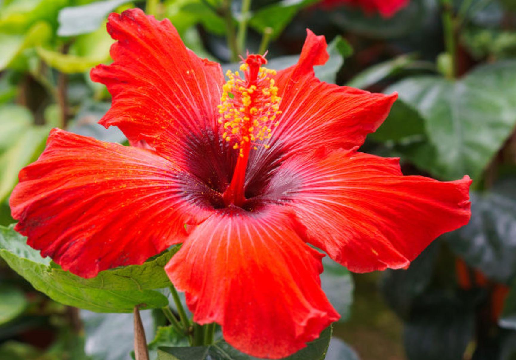 Συσσωρευμένη σκόνη λάσπες και βρωμιά στο μπαλκόνι και τα παντζούρια: Κάντε το να αστράφτει λίγο πριν το Πάσχα