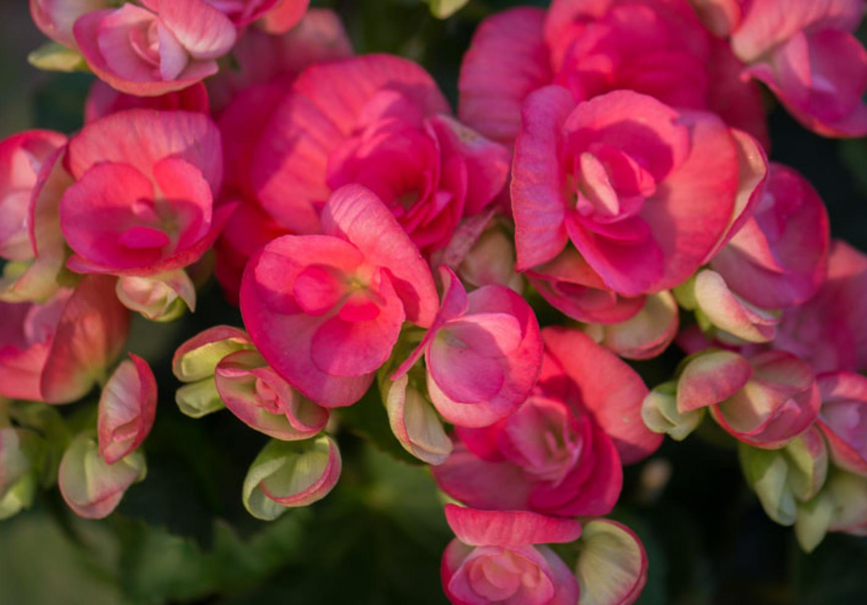 Συσσωρευμένη σκόνη λάσπες και βρωμιά στο μπαλκόνι και τα παντζούρια: Κάντε το να αστράφτει λίγο πριν το Πάσχα