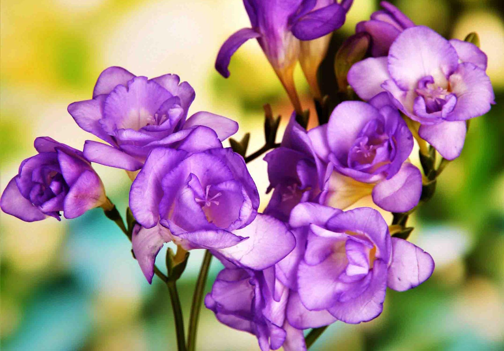 Συσσωρευμένη σκόνη λάσπες και βρωμιά στο μπαλκόνι και τα παντζούρια: Κάντε το να αστράφτει λίγο πριν το Πάσχα