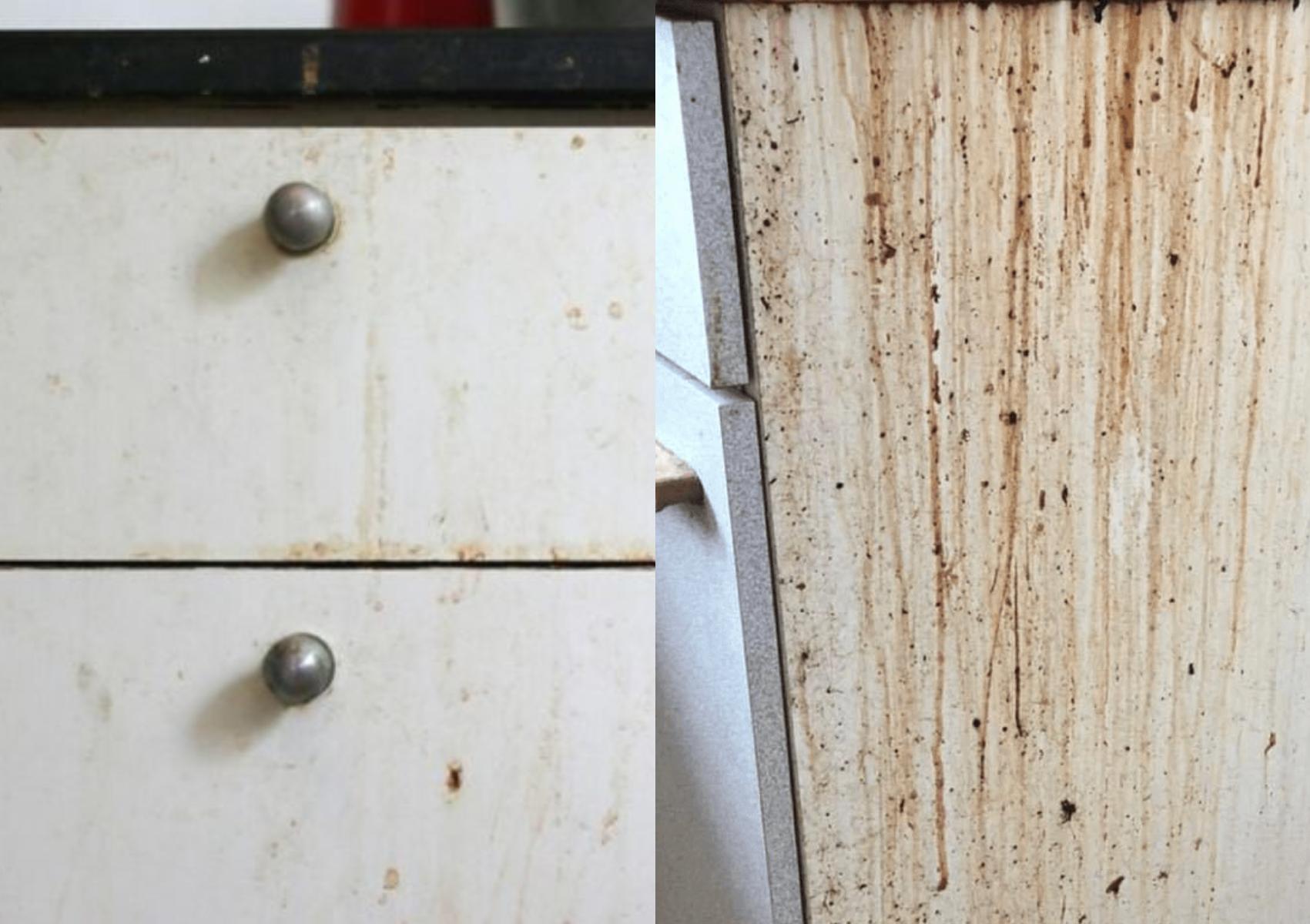 Λακαριστά ντουλάπια κουζίνας: Καθαρίστε τα από λίπη, σκόνη και δαχτυλιές