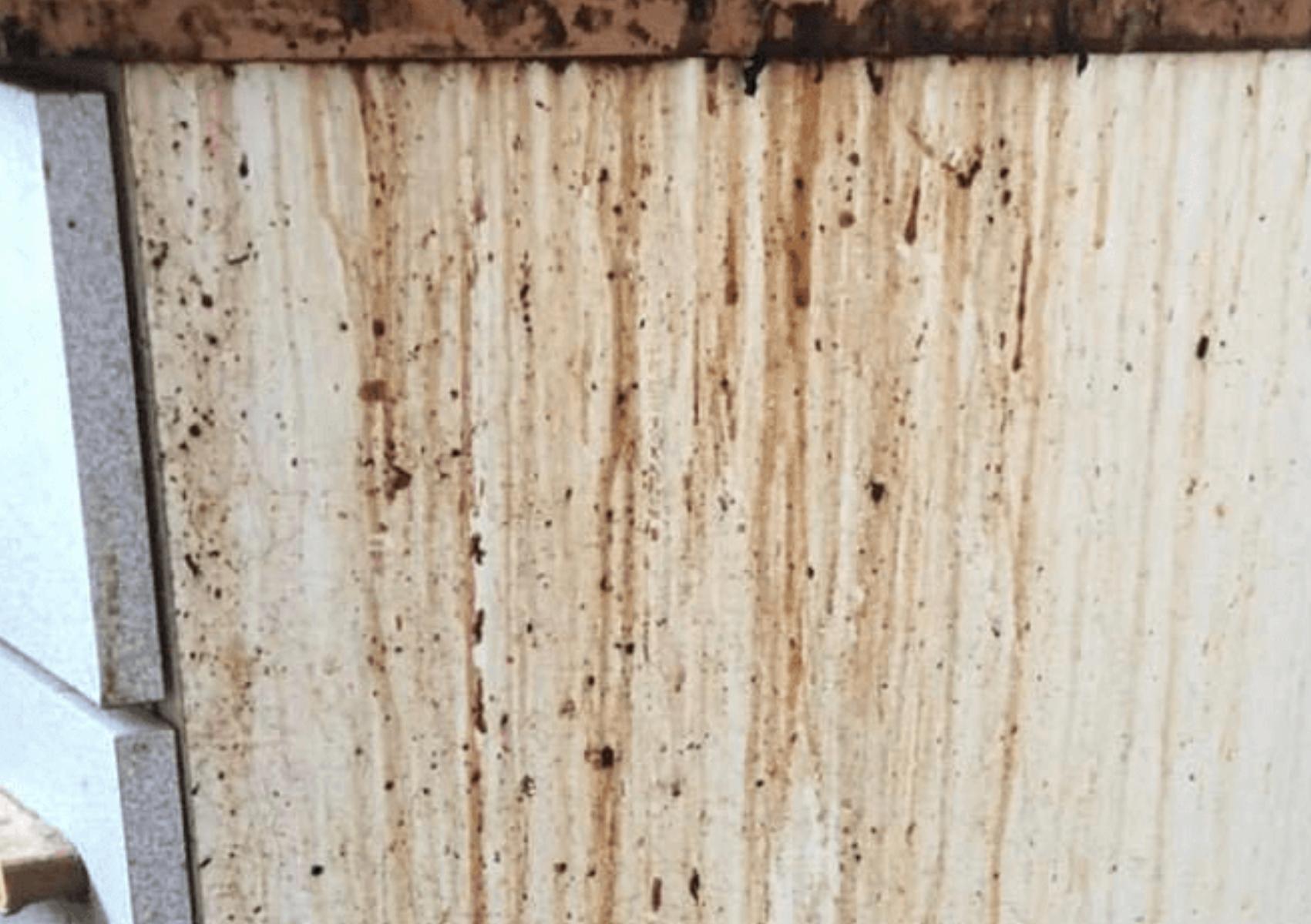 Λακαριστά ντουλάπια κουζίνας: Καθαρίστε τα από λίπη, σκόνη και δαχτυλιές