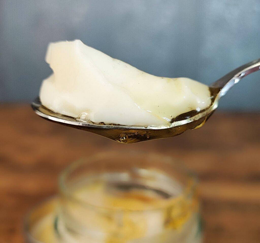 Νηστίσιμο-γιαούρτι-με 2 υλικά-συνταγή-