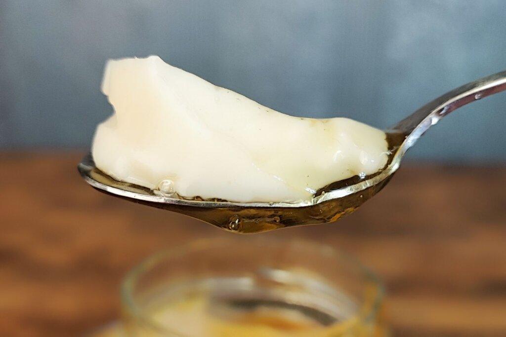 Νηστίσιμο-γιαούρτι-με 2 υλικά-συνταγή-