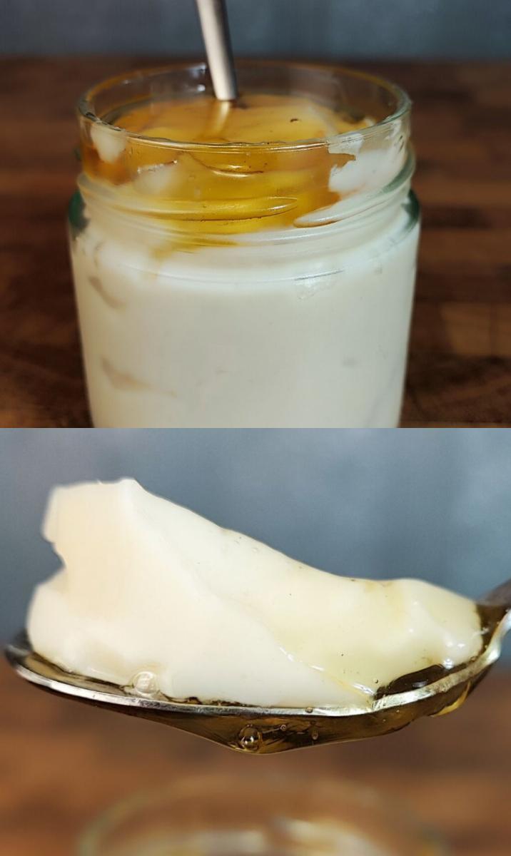 Νηστίσιμο-γιαούρτι-με 2 υλικά-συνταγή-