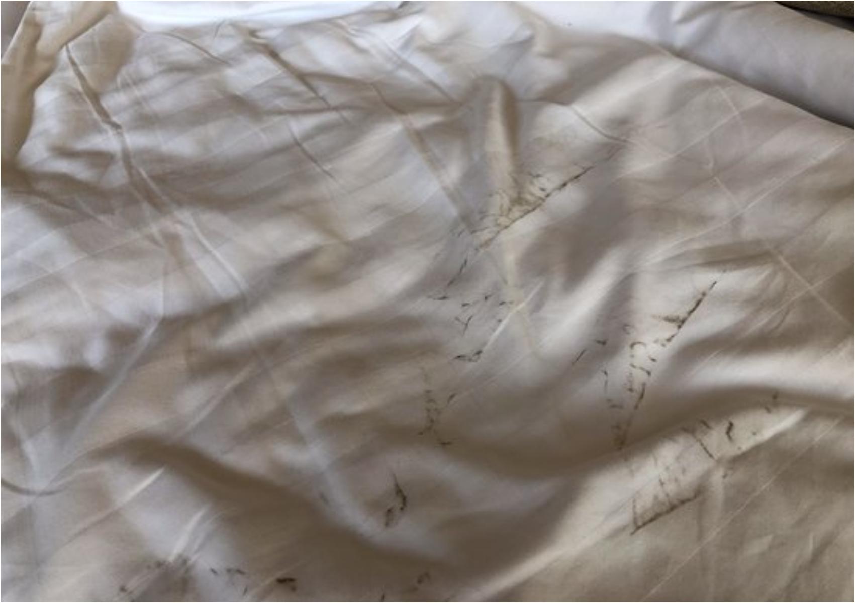 Συσσωρευμένη βρωμιά και σκόνη στο πάπλωμα σου: Πως να το πλύνεις ανάλογα με το υλικό του 