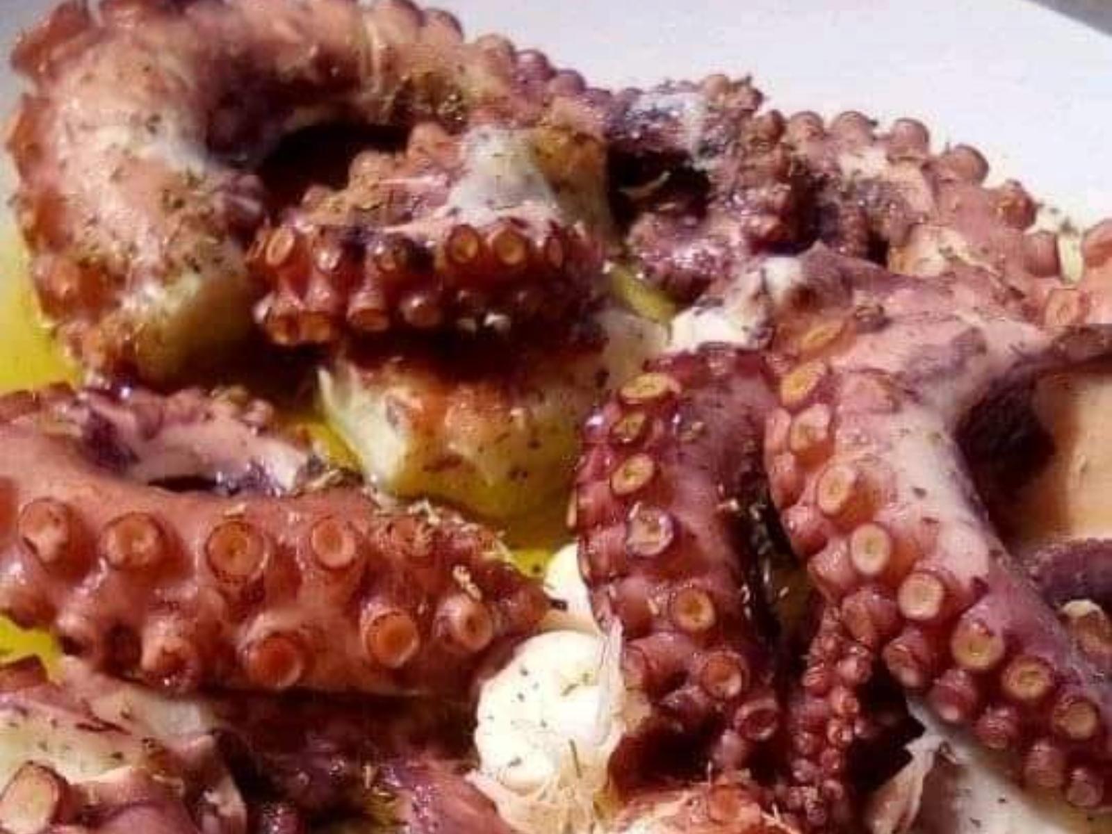 χταπόδι-λαδορίγανη-στη-λαδόκολλα-συνταγή- χταπόδι-λαδορίγανη-στη-λαδόκολλα-συνταγή-