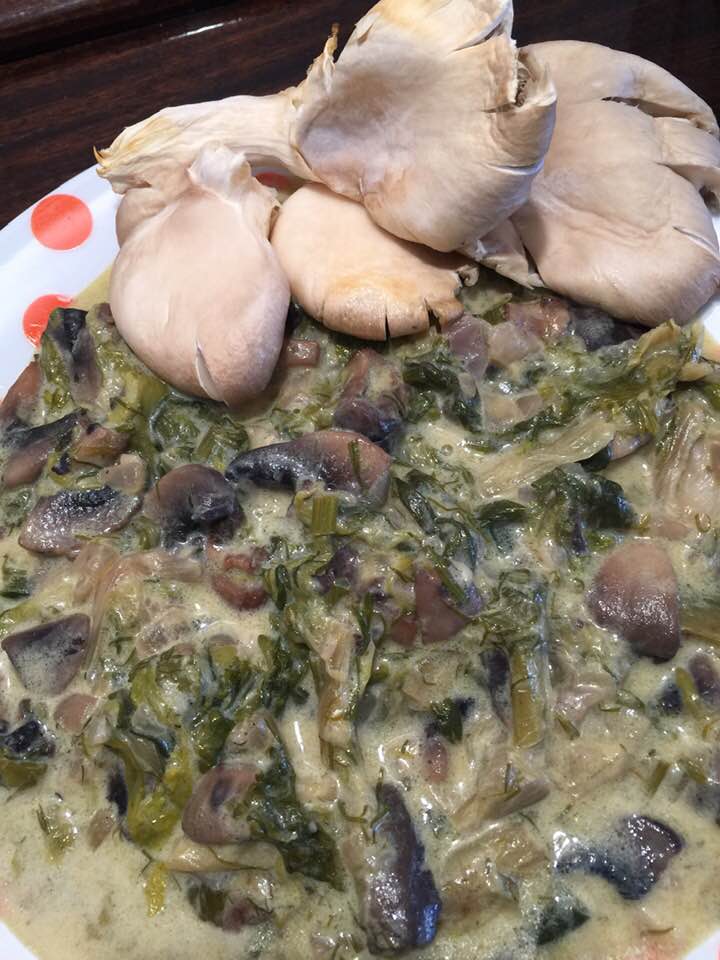 vegan-μαγειρίτσα-με-μανιτάρια-συνταγή-