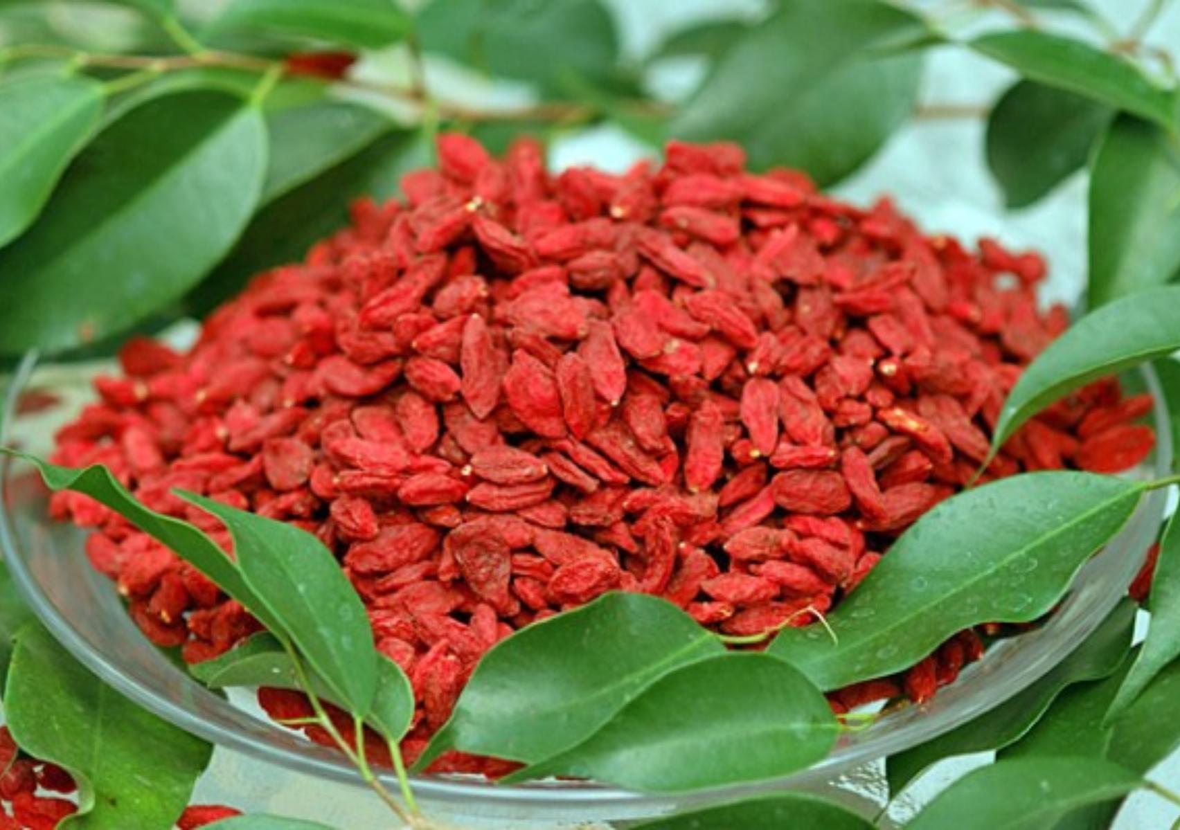 Goji berry: Η διατροφική αξία του και πως βοηθάει τον οργανισμό ΔΕΝ ΕΙΝΑΙ ΕΤΟΙΜΟ