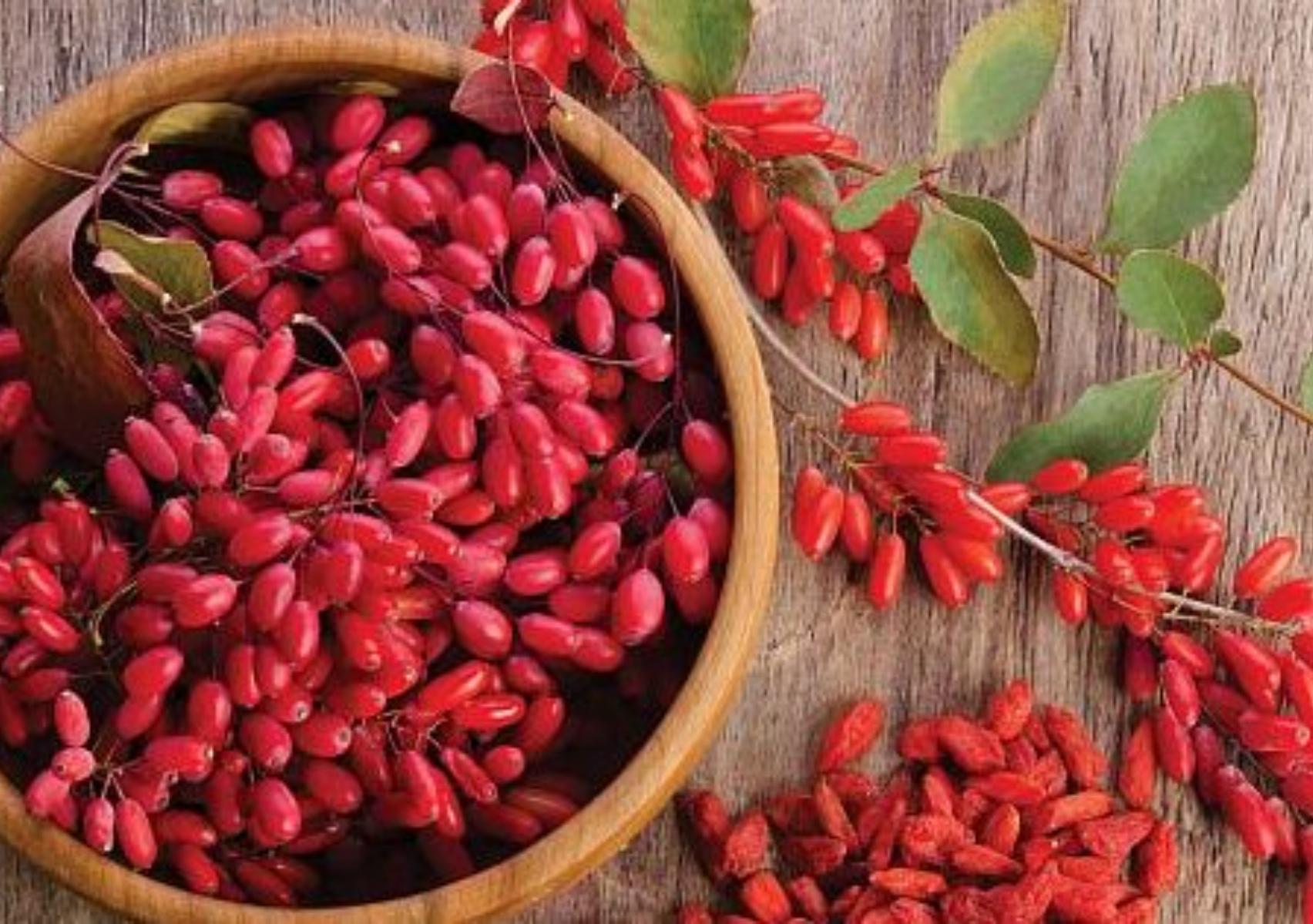 Goji berry: Η διατροφική αξία του και πως βοηθάει τον οργανισμό