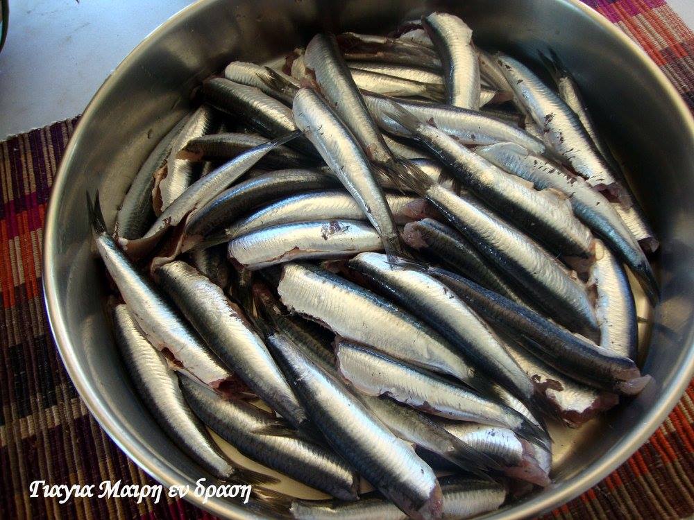 Κυριακή των Βαΐων-γαύρος πλακί-στα-αμπελόφυλλα-συνταγή- Κυριακή των Βαΐων-γαύρος πλακί-στα-αμπελόφυλλα-συνταγή-