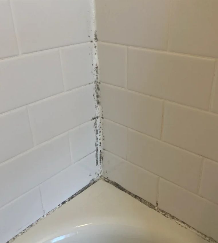 Συσσωρευμένη βρωμιά στους τοίχους τα πλακάκια και τους αρμούς: Το κόλπο της γιαγιάς για να τα κάνετε να αστράφτουν πριν το Πάσχα