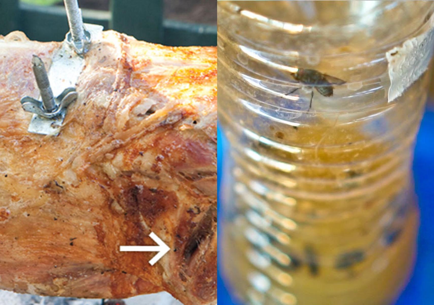 Κυριακή του Πάσχα: Πως να κρατήσετε μακριά τις μύγες από το αρνί