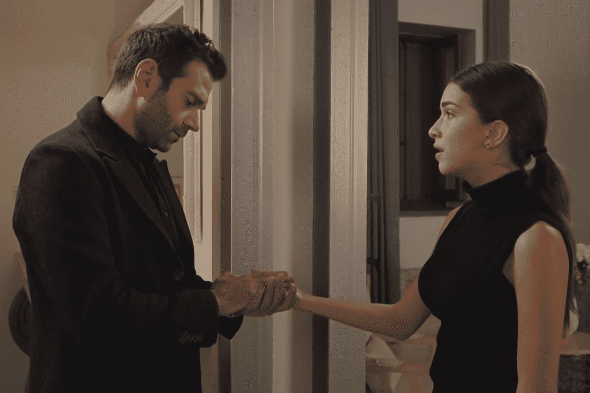 Η Γη της Ελιάς: Μια εκδρομή που στραβώνει τα πάντα