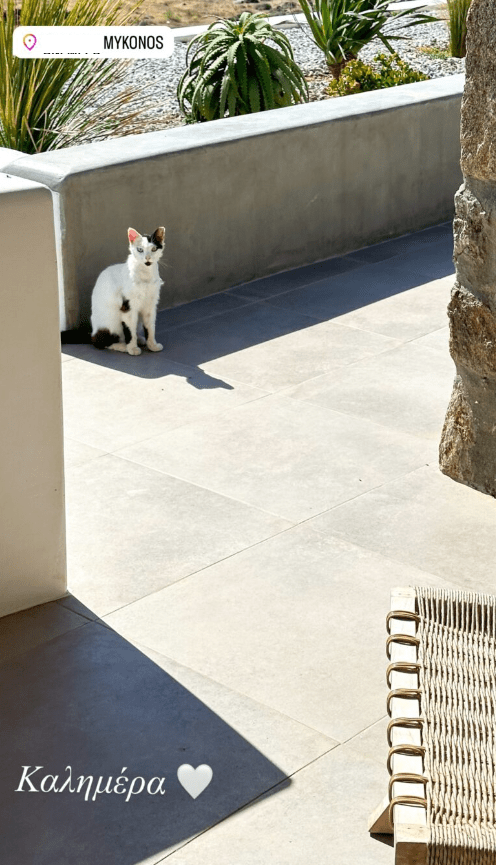 Κατερίνα Καινούργιου: Πάσχα στη Μύκονο για την παρουσιάστρια