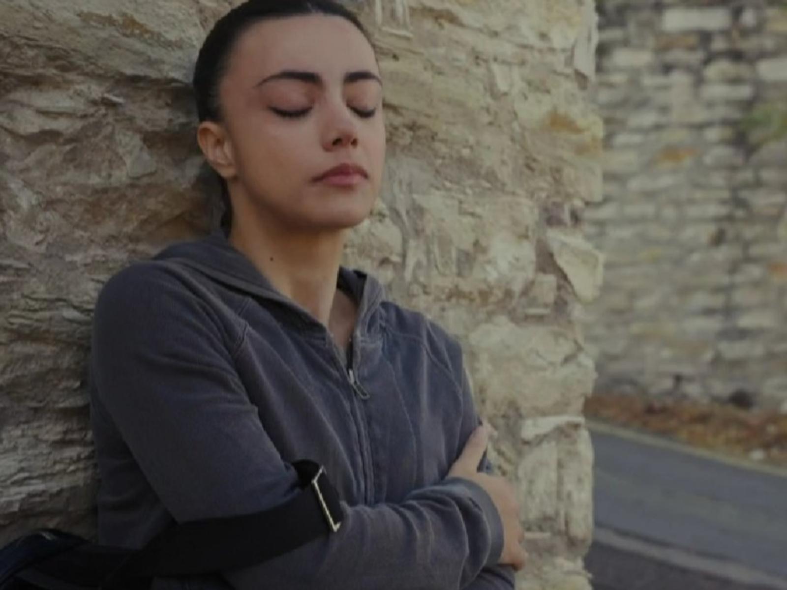 Η Γη της Ελιάς-Ειρήνη-