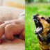 Νέα Σμύρνη: Σκύλος επιτέθηκε σε 11 μηνών μωρό