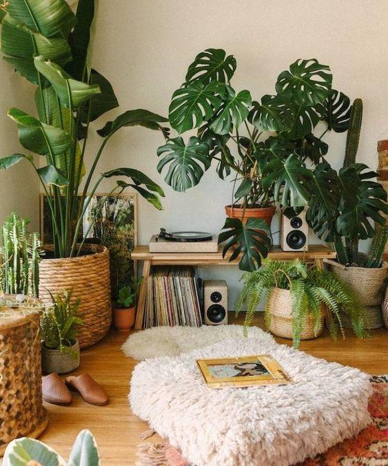 ιδέες-διακόσμησης-με-φυτά-εσωτερικού χώρου-Καλοκαίρι 2024-