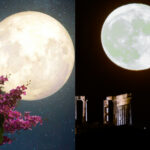 Πανσέληνος Μάϊου 2024: Τι είναι το Φεγγάρι των Λουλουδιών και πότε θα είναι ορατή