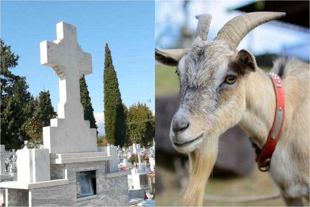 Λαμία: Γυναίκα πέθανε μετά απο χτύπημα τράγου