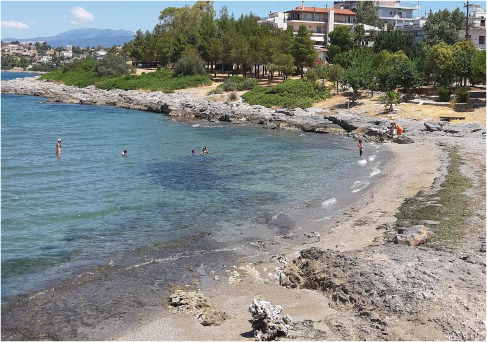 Νεα Αρτακη: