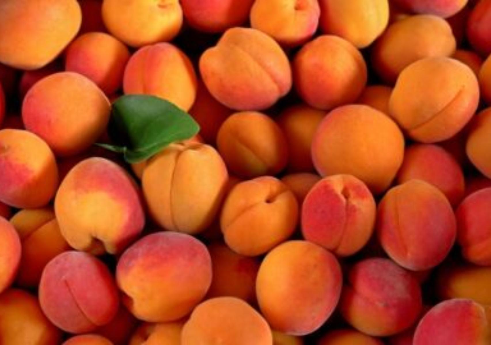 Βερίκοκο: Η διατροφική αξία του και πως βοηθάει τον οργανισμό