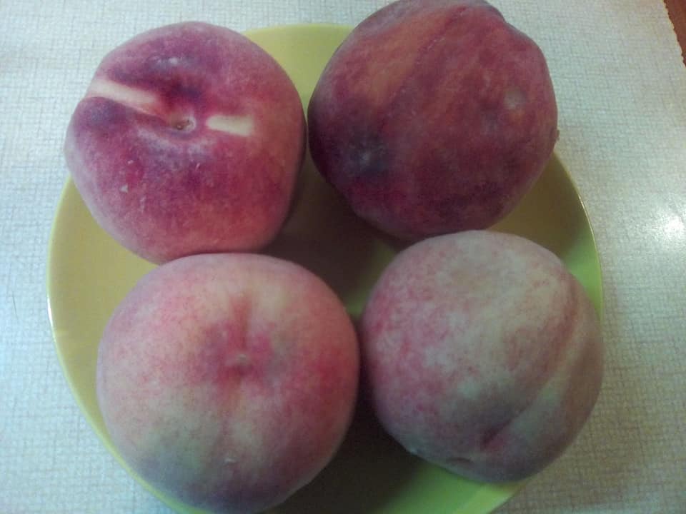 Κρέμα με κορν φλάουρ και ροδάκινα