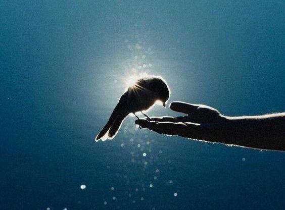 η-ταπεινότητα-είναι-αυτή-που-θα-σε-βοηθήσει-να-πιάσεις-κορυφή-