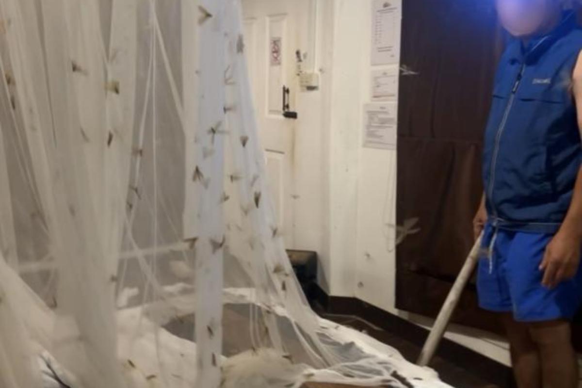 Πήγαν διακοπές και γέμισε το δωμάτιο τους έντομα  – Το μοιραίο λάθος τους – Βίντεο