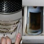 Βρωμάει το πλυντήριο ρούχων: Πως να απαλλαγείτε από τις άσχημες μυρωδιές την μούχλα και τα άλατα 