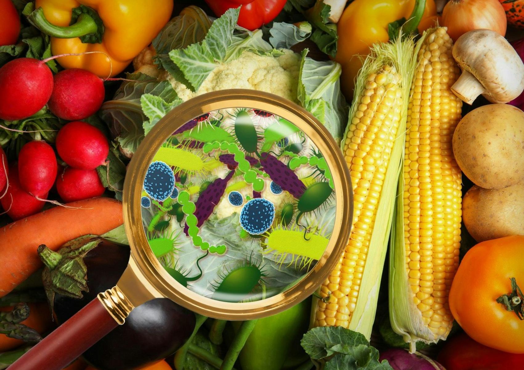 Τροφική δηλητηρίαση το καλοκαίρι: Πλήρης οδηγός για όσα πρέπει να γνωρίζετε και πως να την αντιμετωπίσετε