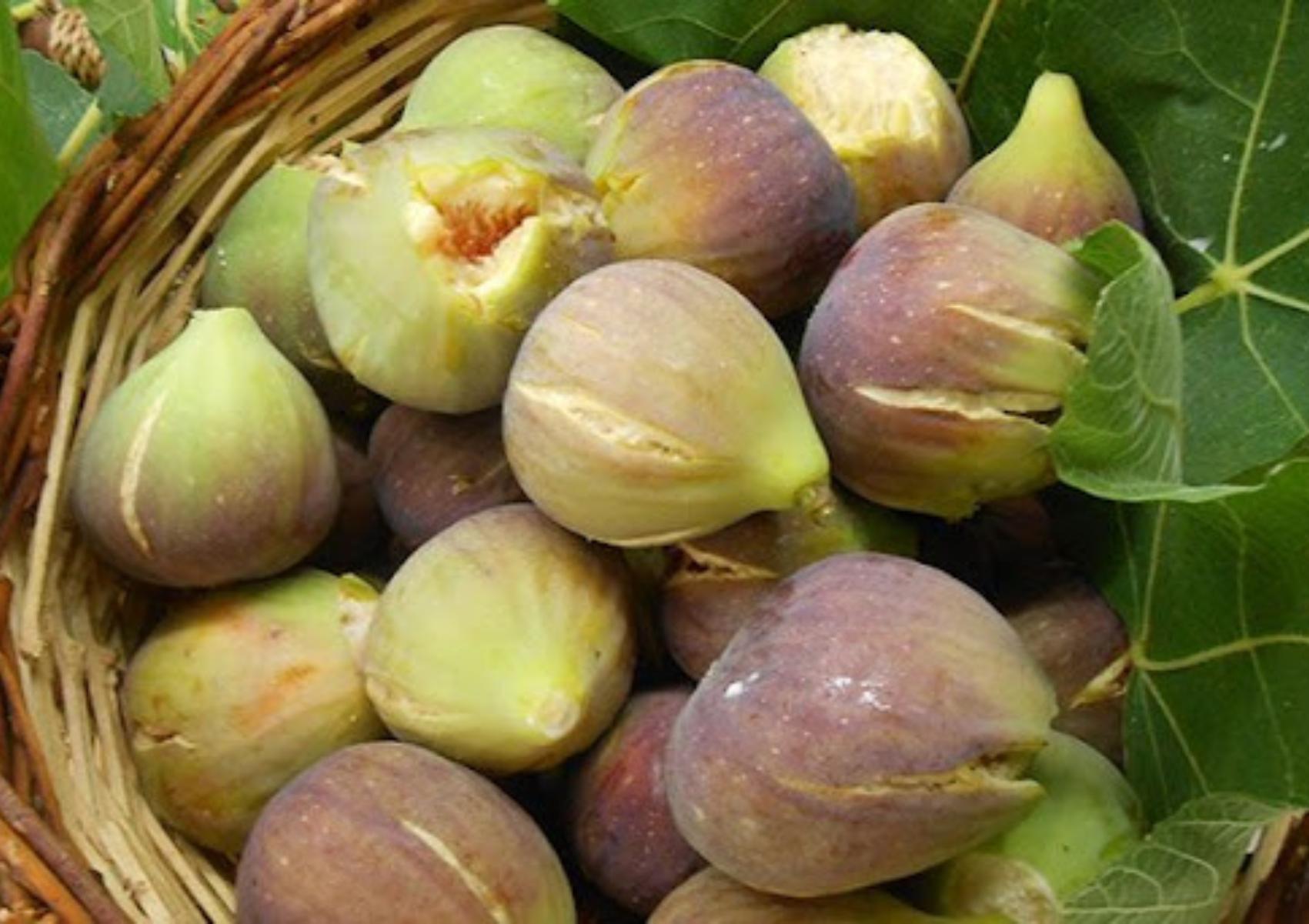 Σύκο: Η διατροφική αξία του και πως βοηθάει τον οργανισμό