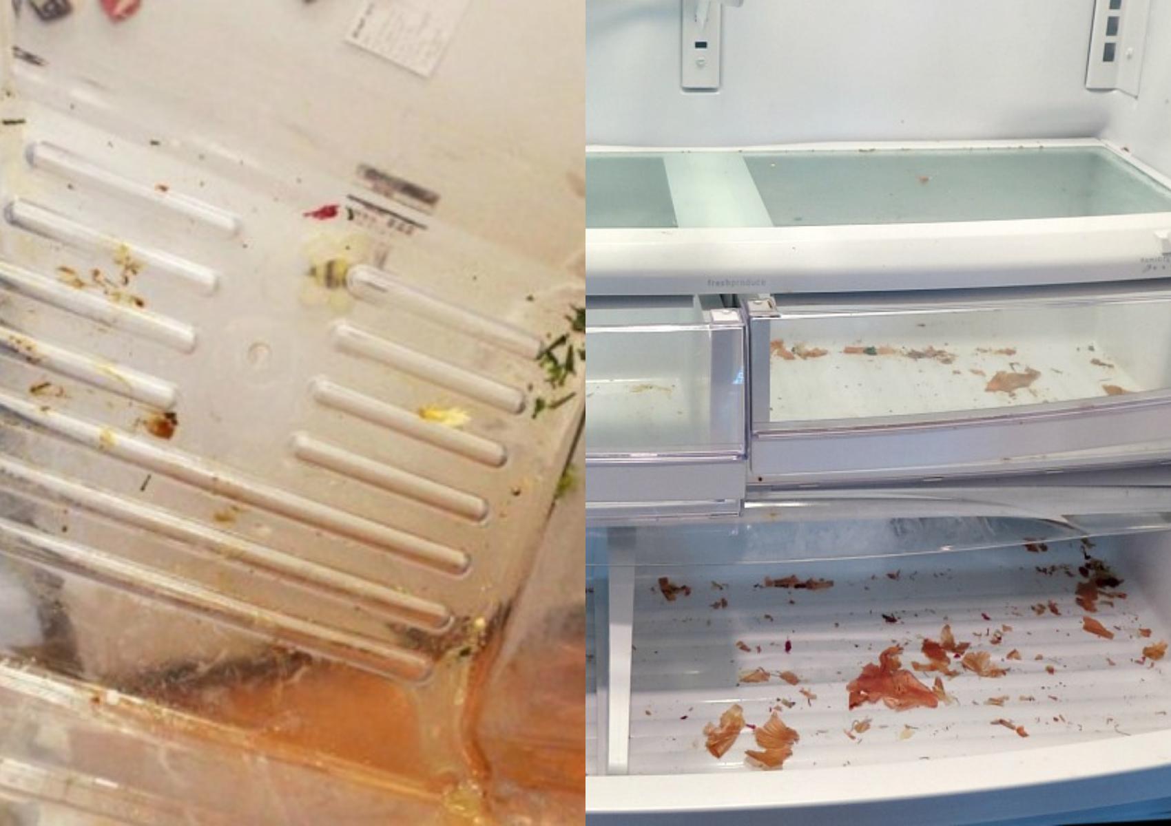 Μουχλιασμένα τρόφιμα σάλτσες και κίτρινα σημάδια στο ψυγείο: Πως να το καθαρίσετε και να το απολυμάνετε