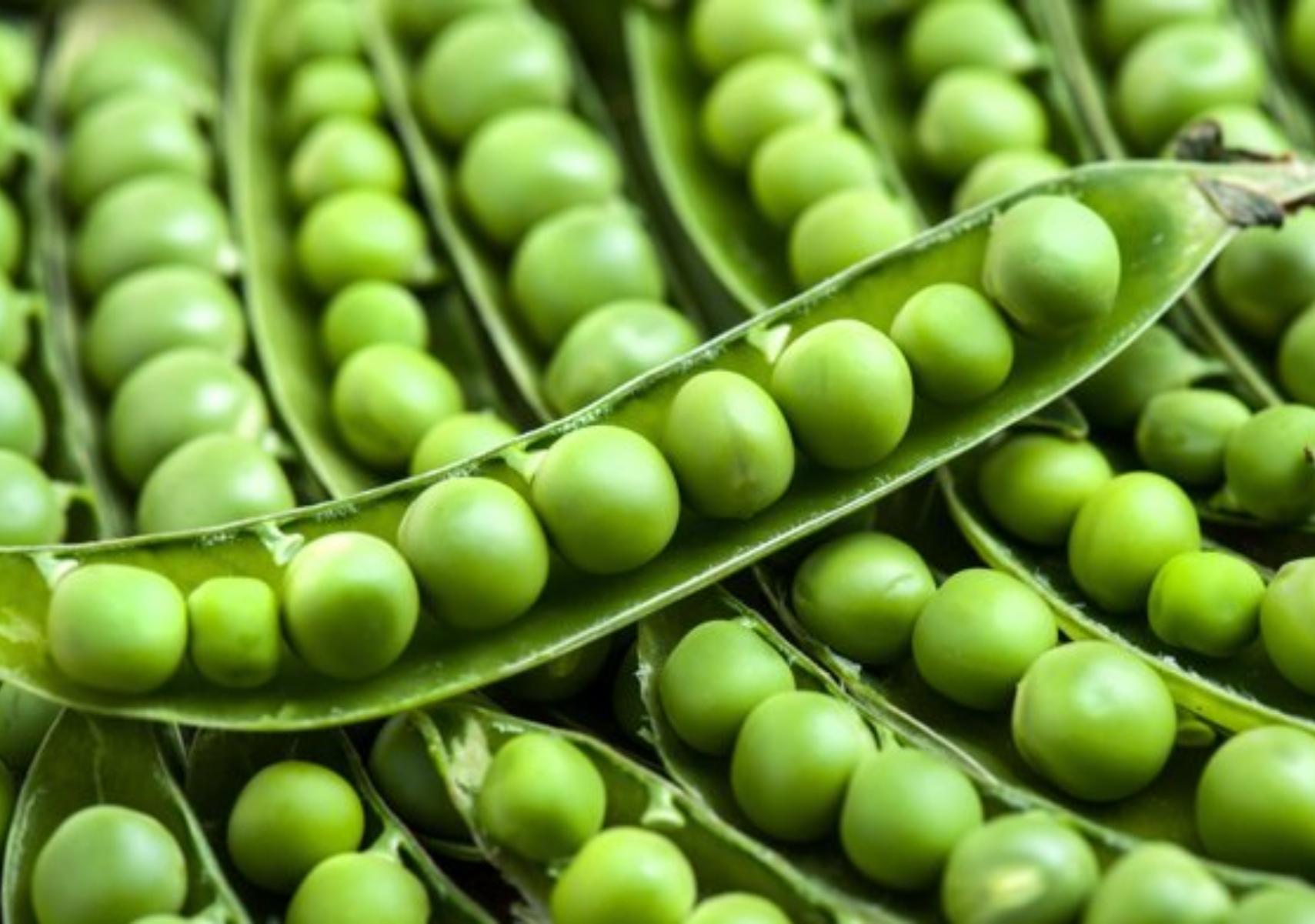 Αρακάς: Η διατροφική αξία του και πως βοηθάει τον οργανισμό