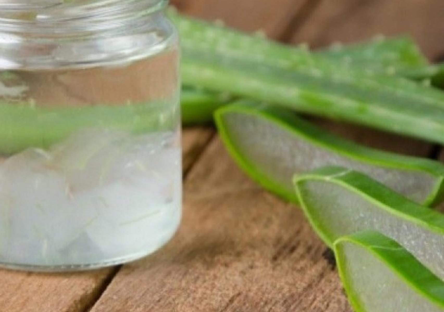 Αλόη: Η διατροφική αξία της και πως βοηθάει τον οργανισμό